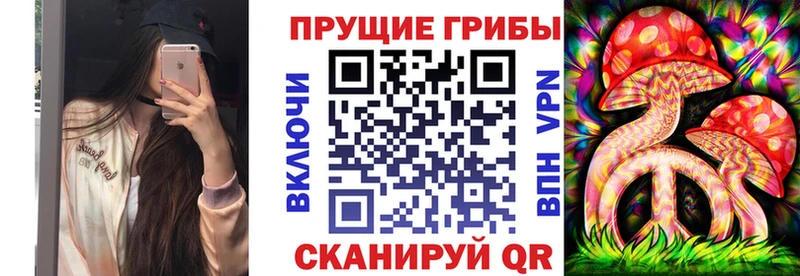 Купить  Красавино  Псилоцибиновые грибы ЛСД 